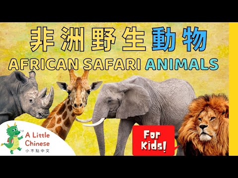 20 Amazing African Safari Animals + Song in Traditional Chinese with Zhuyin 非洲野生動物 | For Kids