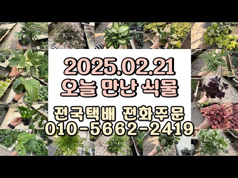 2025.02.21 오늘 만난 식물