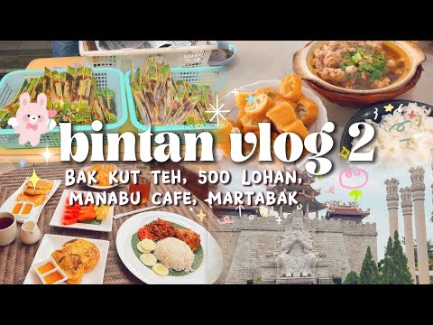 🇮🇩 bintan vlog 2 🏖  居然在民丹島吃到肉骨茶 🐷🥓 走入當地人的日常 #citywalk  👣 壯觀的五百羅漢廟 👟 隨便走走吃吃喝喝看看