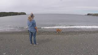 Hope & Rob's Maritime Adventure: Episode 3 - Newfoundland