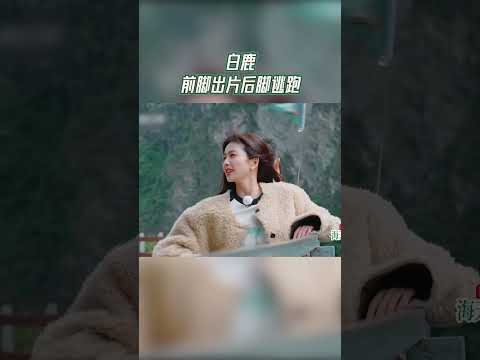 白鹿前脚出片后脚逃跑【拯救不开心】