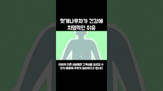 헛개나무차 절대 먹으면 안 되는 이유 #shorts