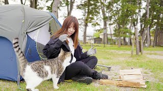 [Subtitles]甘えてくる野良猫とキャンプ