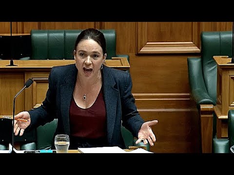 Ginny Andersen Admits Māori Recidivist Criminals