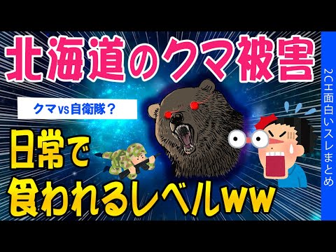 【2ch考えさせられるスレ】北海道のクマ被害、日常で食われるレベルww【ゆっくり解説】