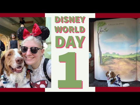 Service Dog Goes to Disney World for Christmas!! | Winston