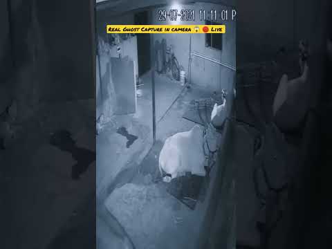 Real Very Scary Ghost Captured In CCTV Camera #Ghost #Horrovideo Ghost Video