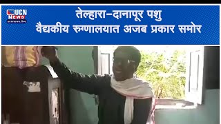 तेल्हारा - दानापूर पशु वैद्यकीय रुग्णालयात अजब प्रकार समोर