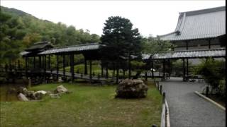 Japan walker kodaiji temple