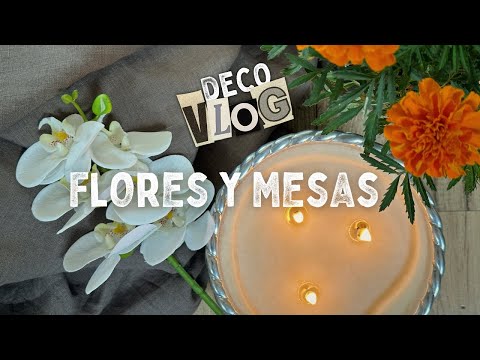 🌸 TIP para ORQUÍDEAS sin FLORES 🌿 ¡TRASPLANTAMOS la BUGANVILIA! ✨ Monto una MESA DIFERENTE