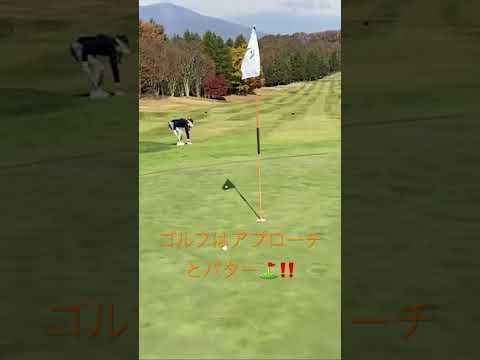 ショットが良くても、やっぱりゴルフはアプローチとパター⛳️ね‼️頑張ります💪 #golf #ゴルフ #紅葉スポット #絶景