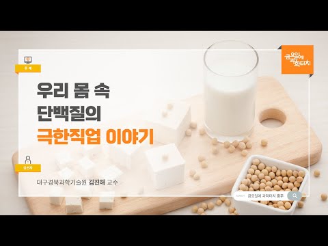 24.11.15 금요일에 과학터치(광주) - 우리 몸 속 단백질의 극한직업 이야기