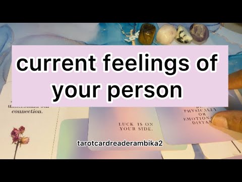 current feelings of your person ❤️❤️#tarot #currentfeelingsofyourpartner #feelingstarot #youtube