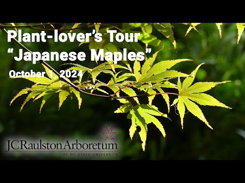 Plant-lover's Tour - "Japanese Maples"