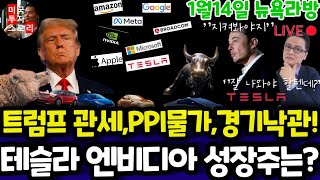 미국주식/전기차 에너지 양자 인공지능 반도체/테슬라 엔비디아 구글 애플 아마존 메타 마이크로소프트 팔란티어 아이온큐 리게티 SMCI 브로드컴 LLY 노보등 $tsla #tesla