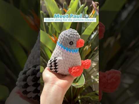 Have you ever seen a crochet pigeon? 🤨 #amigurumicrochet