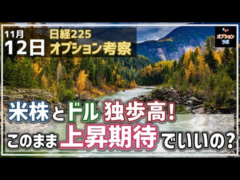 【日経225オプション考察】11/12 米株＆ドル 独歩高！このまま日本株も上昇期待でいいの？