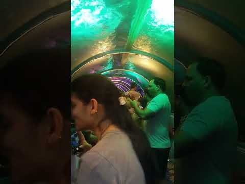 under water sea life#rohini#japnese#park#ytshorts #viral