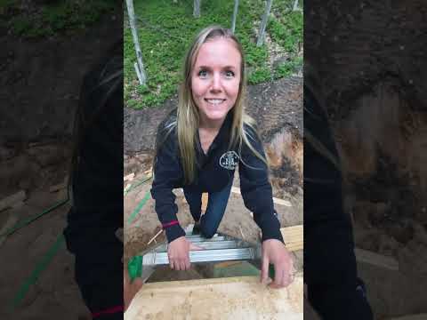 my wife's first reaction to our cabin build!