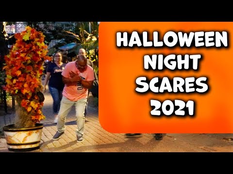 Very Loud Screams on Halloween Night!!