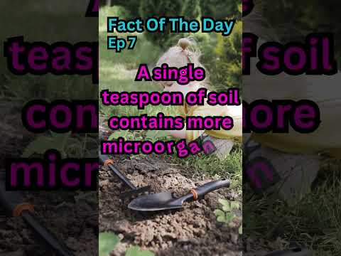 Fact Of The Day| Ep 7| Soil's Secret #shorts #trending #viral #soil #microorganisms