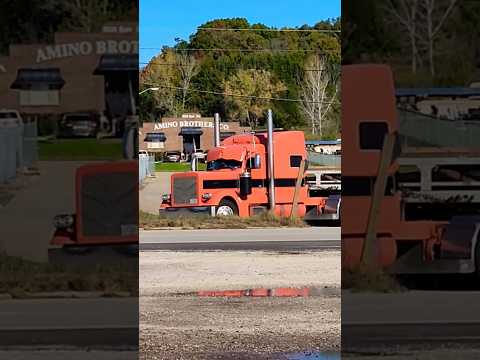 CLEAN PETERBILT RIG TURNS THE CORNER FROM A STOP! #bigrigs #peterbilt #trucking