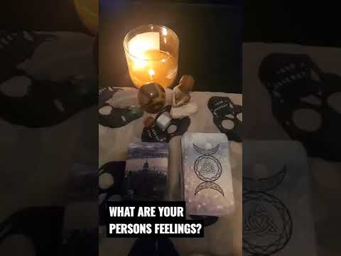 Tonight's Reading: What are your person's feelings? check out my channel! newcomers welcome!