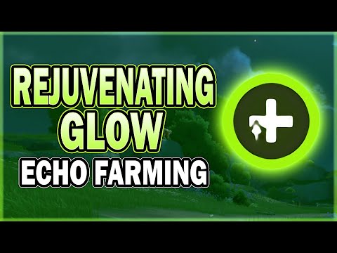 Rejuvenating Glow / Healing Echo 30-Minutes Daily Farming Route in Wuthering Waves