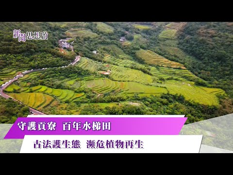 《#新聞思想啟》 貢寮百年水梯田 古老農法護濕地 維持生態多樣性 頻危植物再生 生態薪水 兼容復育與生計 守護水梯田 永續里山美好 第138集-Part4