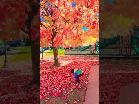 Cute baby enjoying with leaves🍁🍂😀😍🥰 #shorts