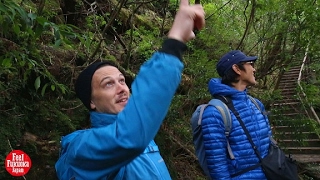 Yakushima in Kagoshima Prefecture, Japan - Relaxation for body, mind and soul