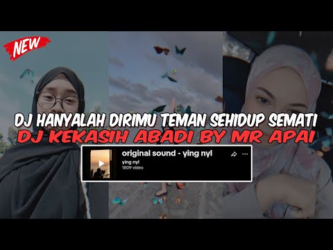 DJ HANYALAH DIRIMU TEMAN SEHIDUP SEMATI | DJ KEKASIH ABADI BY MR APAI VIRAL TIKTOK TERBARU 2025