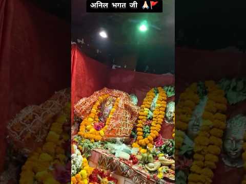 अनिल भगत जी 🙏🏻 || Anil bhagat karaha puja video 🚩 || baba kashidas karaha puja banaras ✨ #shorts #yt