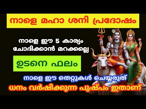 നാളെ മഹാ ശനി പ്രദോഷം ഈ 5 കാര്യം ചോദിക്കാൻ മറക്കല്ലെ ഉടനെ നടക്കും...pradosham 2024