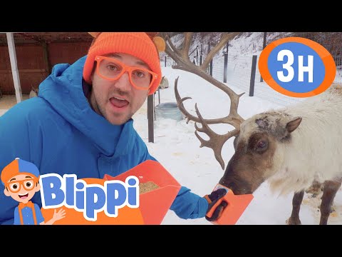 Blippi’s Reindeer Adventure - Christmas Fun in the Snow! | Blippi | Kids TV Shows