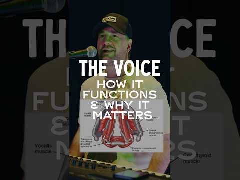 The Voice: How It Functions & Why It Matters #voice #vocalcoach #vocalfunction #singer #shorts