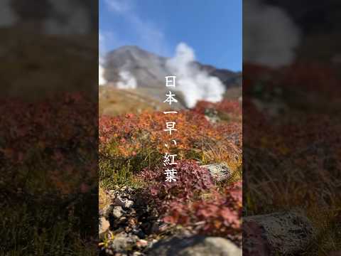 日本一早い紅葉に行ってきた！〜北海道の大雪山国立公園、旭岳〜