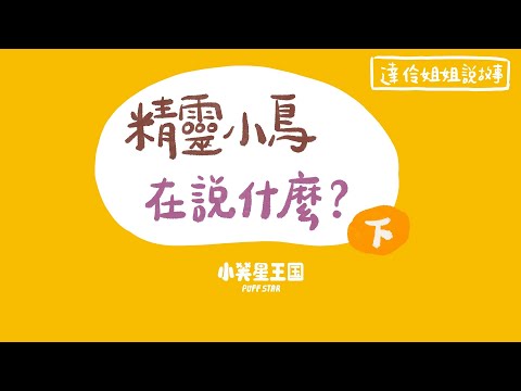 精靈小鳥在說什麼？(下)｜ 達伶姐姐說故事 小芙星王國 睡前故事 EP.182