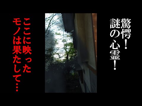 【心霊映像】驚愕！謎の心霊！ここに映ったモノは果たして…