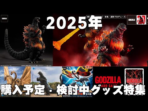 【2025年】購入予定・検討中特撮グッズ特集