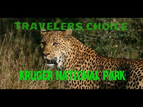 Travelers Choice: kruger national park || Places To Travel south africa