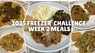 Freezer Challenge 2025 | Freezer Challenge Meals: Week 2