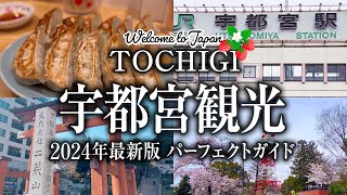 【宇都宮観光 2024年最新版】ここだけは押さえておきたい！地元民に案内された桜満開の栃木旅行オススメスポット 宇都宮グルメ 餃子 宇都宮みんみん 二荒山神社 宇都宮タワー 来らっせ