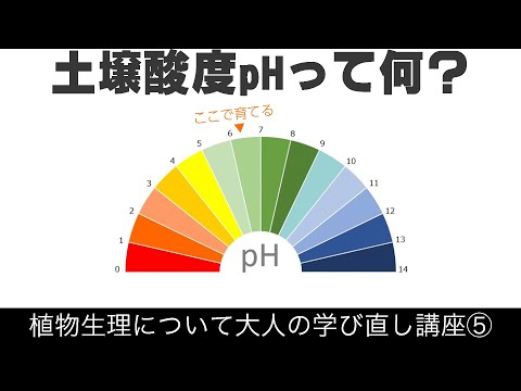 酸性・アルカリ性の本当の意味【植物生理学への道シリーズ⑤】0からはじめる化学・生物学