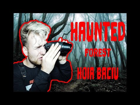 Inside the World’s Most Haunted Forest – Hoia Baciu’s Dark Secrets