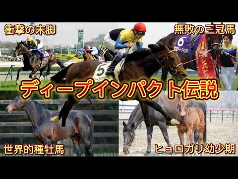 【最強の馬】ディープインパクトの伝説エピソード【無敗の三冠馬】