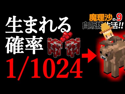 【Minecraft】魔理沙の地下自販機生活！！PART9～畑と色違いムーシュの確率【ゆっくり実況】