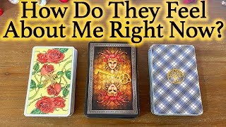 💕WHAT DOES HE/SHE THINK AND FEEL ABOUT ME RIGHT NOW?💕| 🔮Pick A Card🔮 | Love Tarot Reading (Timeless)