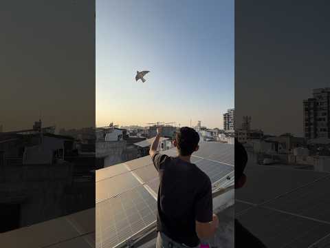 MAKE EAGLE SHAPE KITE