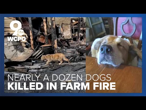 Family loses home, pets after their home burned down in Brown County